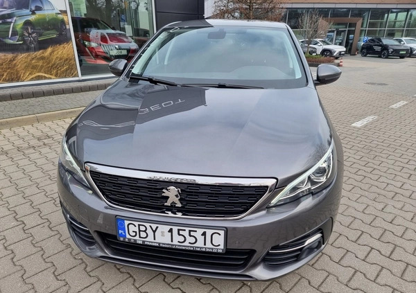 Peugeot 308 cena 49900 przebieg: 139957, rok produkcji 2019 z Radom małe 379